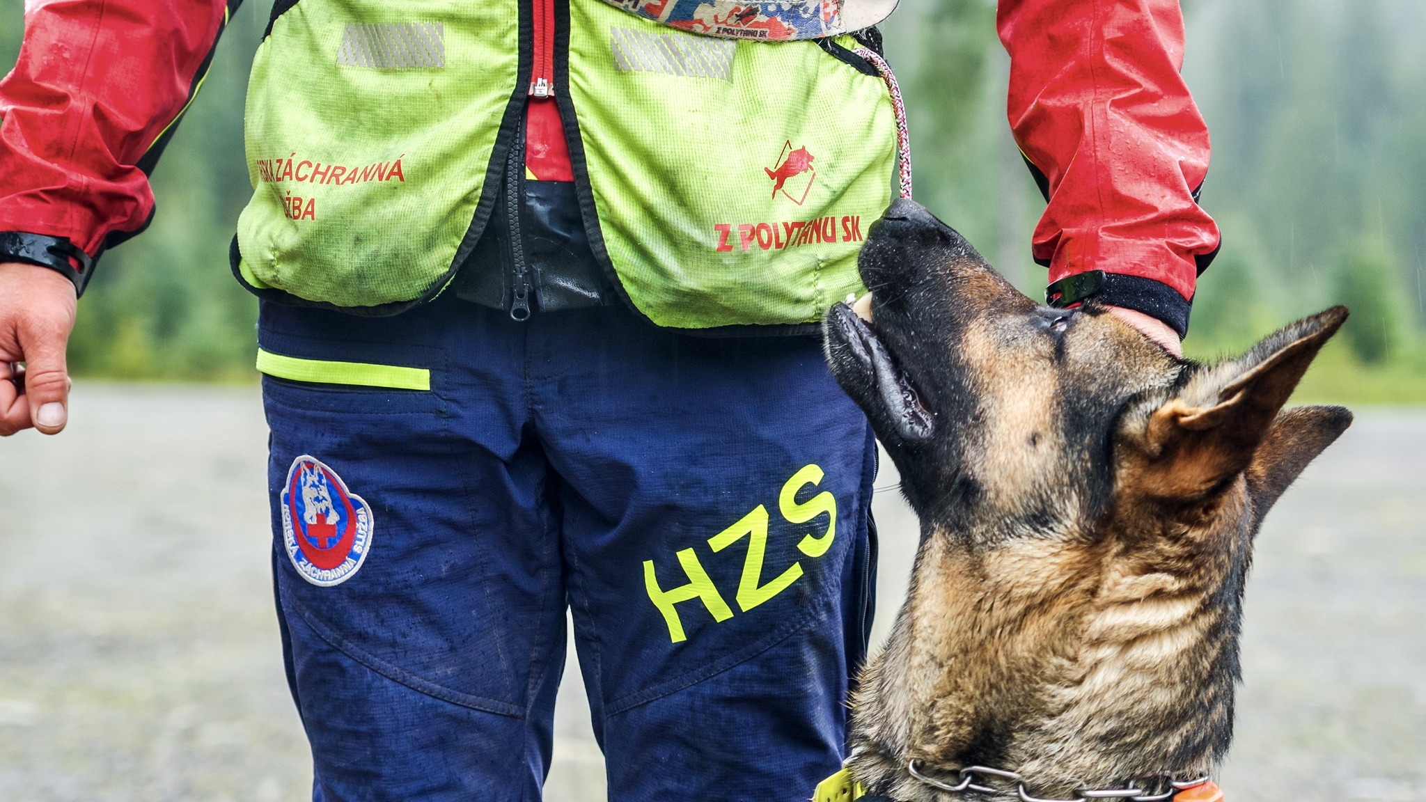 kynologicka rallye memorial stefana zavackeho 